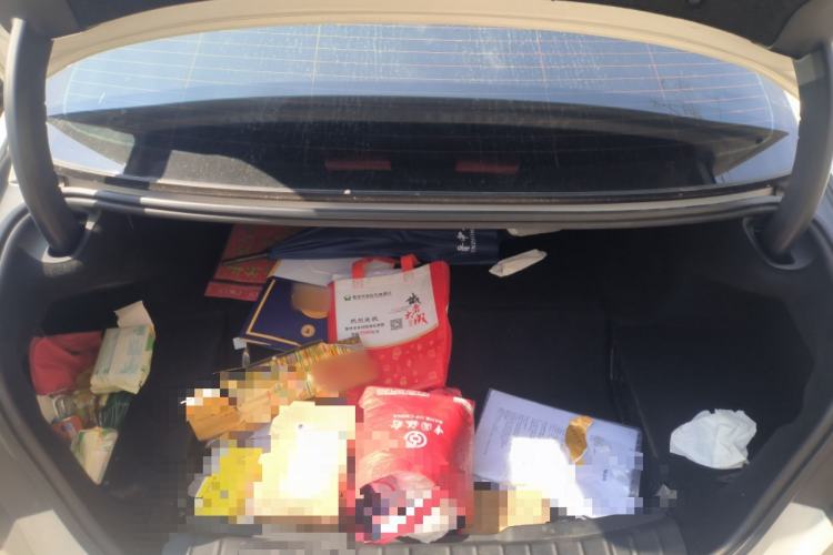 Used BMW 5 Series New Energy 2019 530Le Luxury Package
