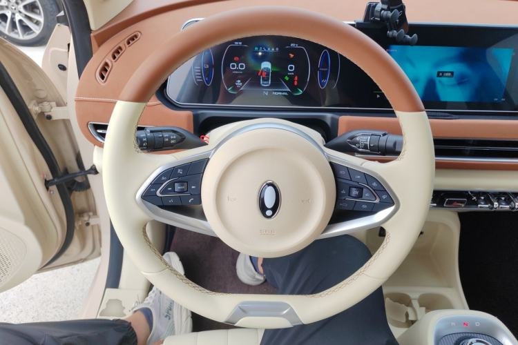 Used ORA Good Cat 2022 Morandi Edition 400km Standard Range Luxury Version Lithium Iron Phosphate Steering Wheel