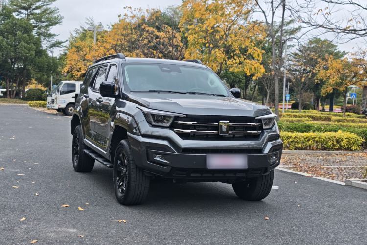 Used Tank 400 2025 2.0T Gasoline Version
