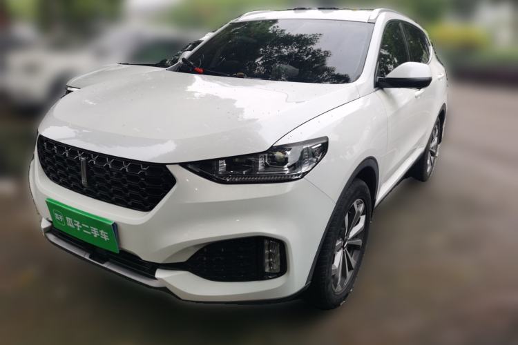 Used Wey VV6 2019 2.0T Two-Wheel-Drive Ultra-Luxury Version China VI Standard