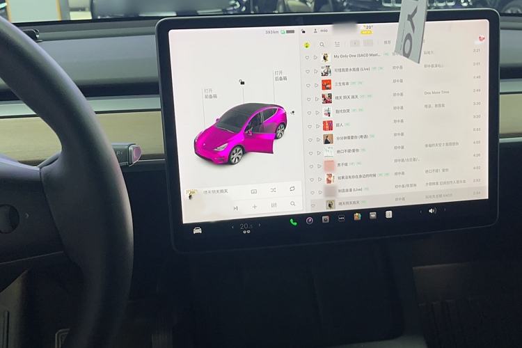 Used Tesla Model Y 2021 Standard Range Rear-Wheel Drive Version
