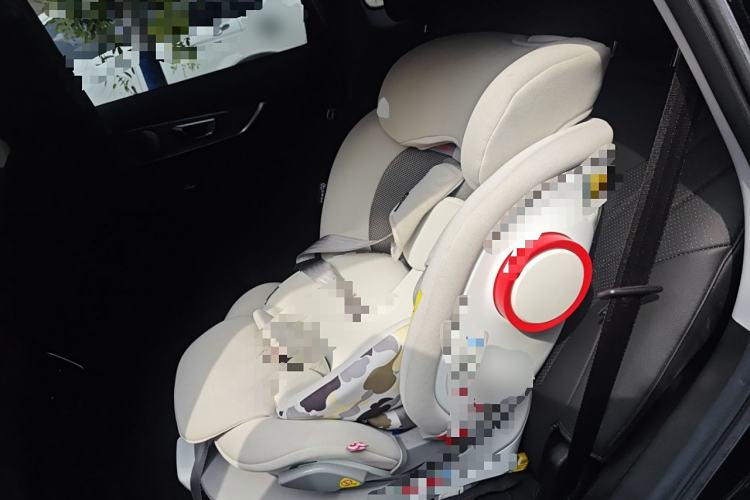 Used Chery Tiggo 8 PRO 2024 Champion Edition 290T Two-Wheel Drive Shining Version 5 Seats
