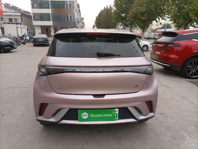 Used BYD Dolphin 2023 420 km Free Version — 5