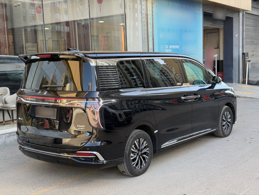 Hongqi HQ9 PHEV 2024 2.0T Four-Wheel Drive Business Edition — снимка 6