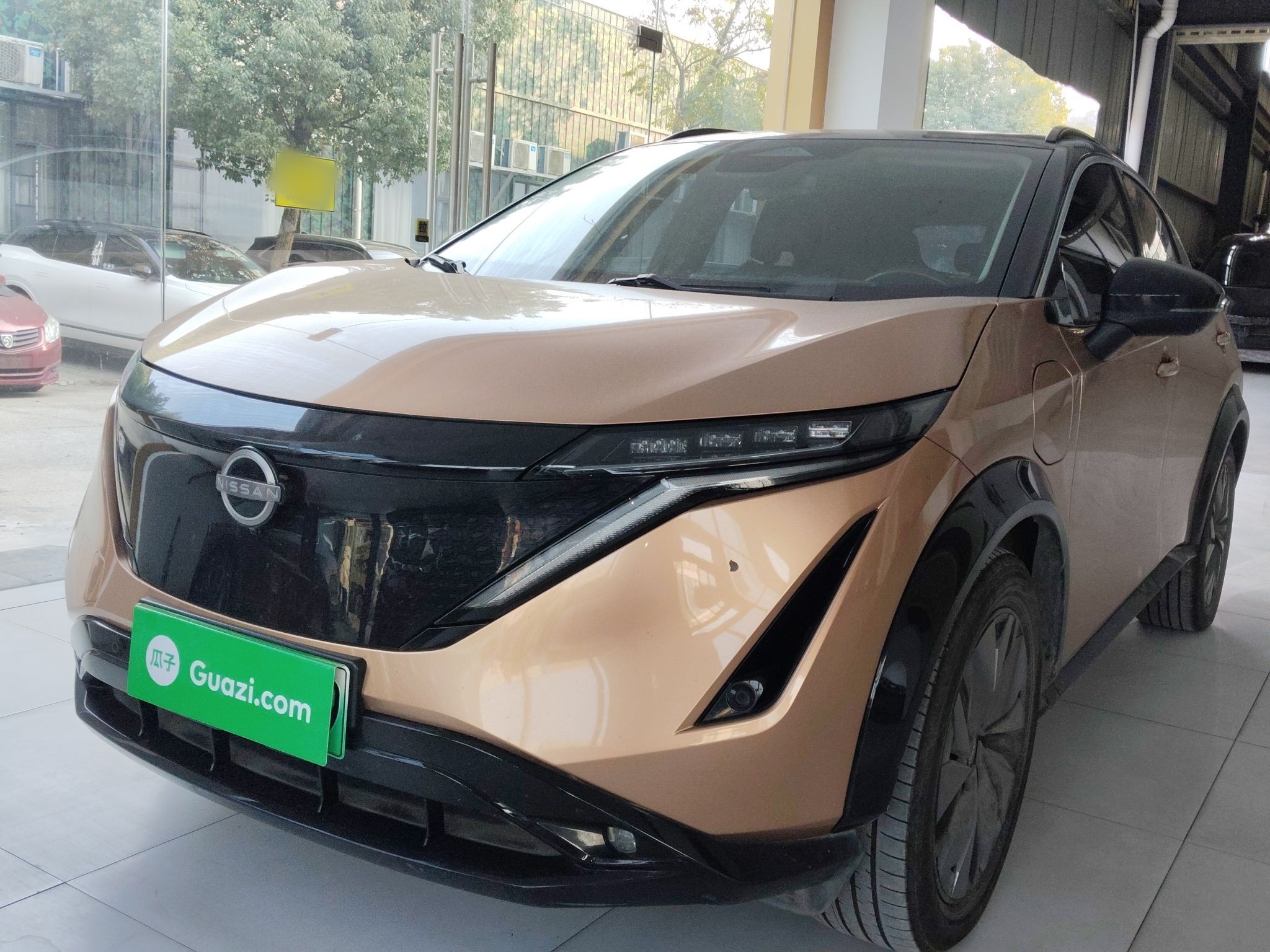 تحت مقدمة السيارة