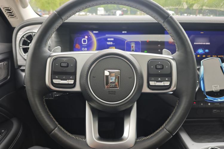 Used Tank 300 2022 2.0T Border Limited Edition
