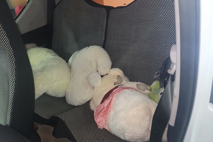 Used Wuling Hongguang MINIEV 2020 Enjoyment Model Lithium Iron Phosphate Left Rear Seat