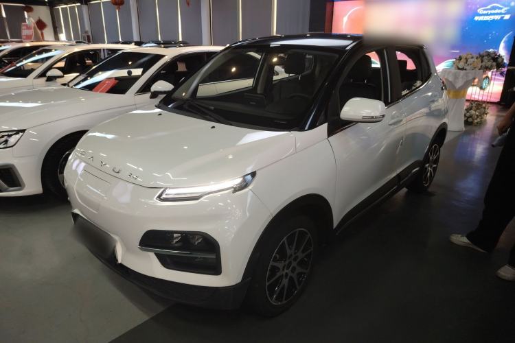 Used Dayun Yuehu 2021 32.85 kWh Two-Wheel-Drive Sprite Version