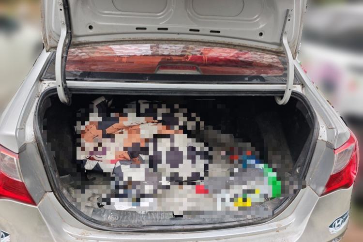 Used Hyundai Celesta 2011 1.6L Manual Luxury Model Trunk