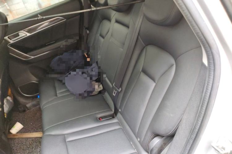 Used Haval H6 Coupe 2015 Blue Label 2.0T Manual Two-Wheel-Drive Elite Model Left Rear Seat