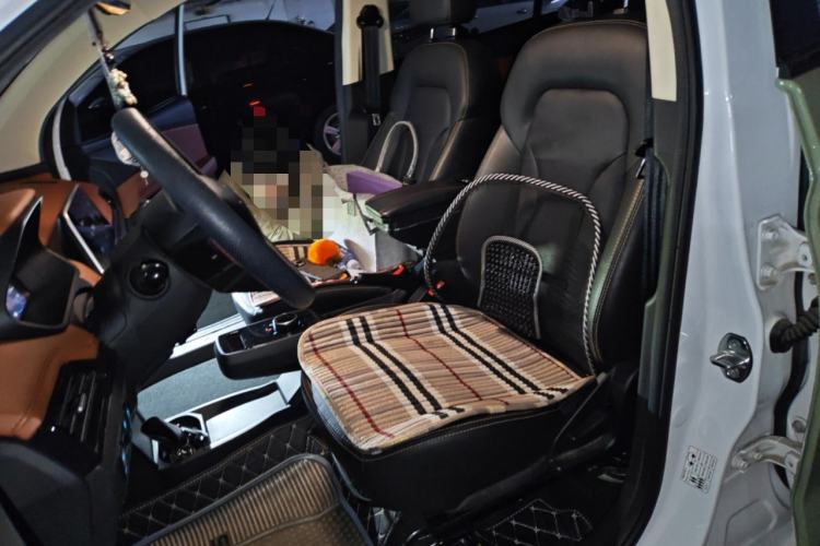 Used Electric House YOUNG Light XiaoXin 2021 L400 4-seater