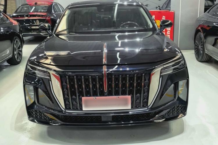Used Hongqi H9 2024 3.0T Flagship All-Wheel Drive Private Style Edition Exterior 10