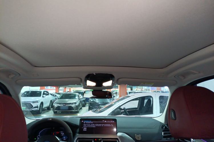 Used BMW iX3 2022 Leading Type Headliner