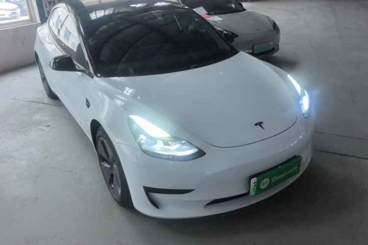 Used Tesla Model 3 2021 Standard Range Rear-Wheel Drive Upgraded Version 3D6 Exterior 1