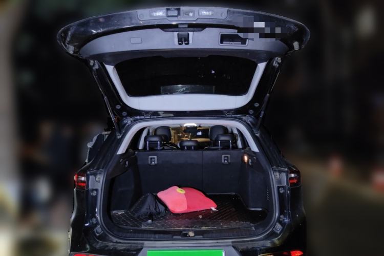 Used EXEED TX 2019 1.6T Four-Wheel Drive Platinum Edition
