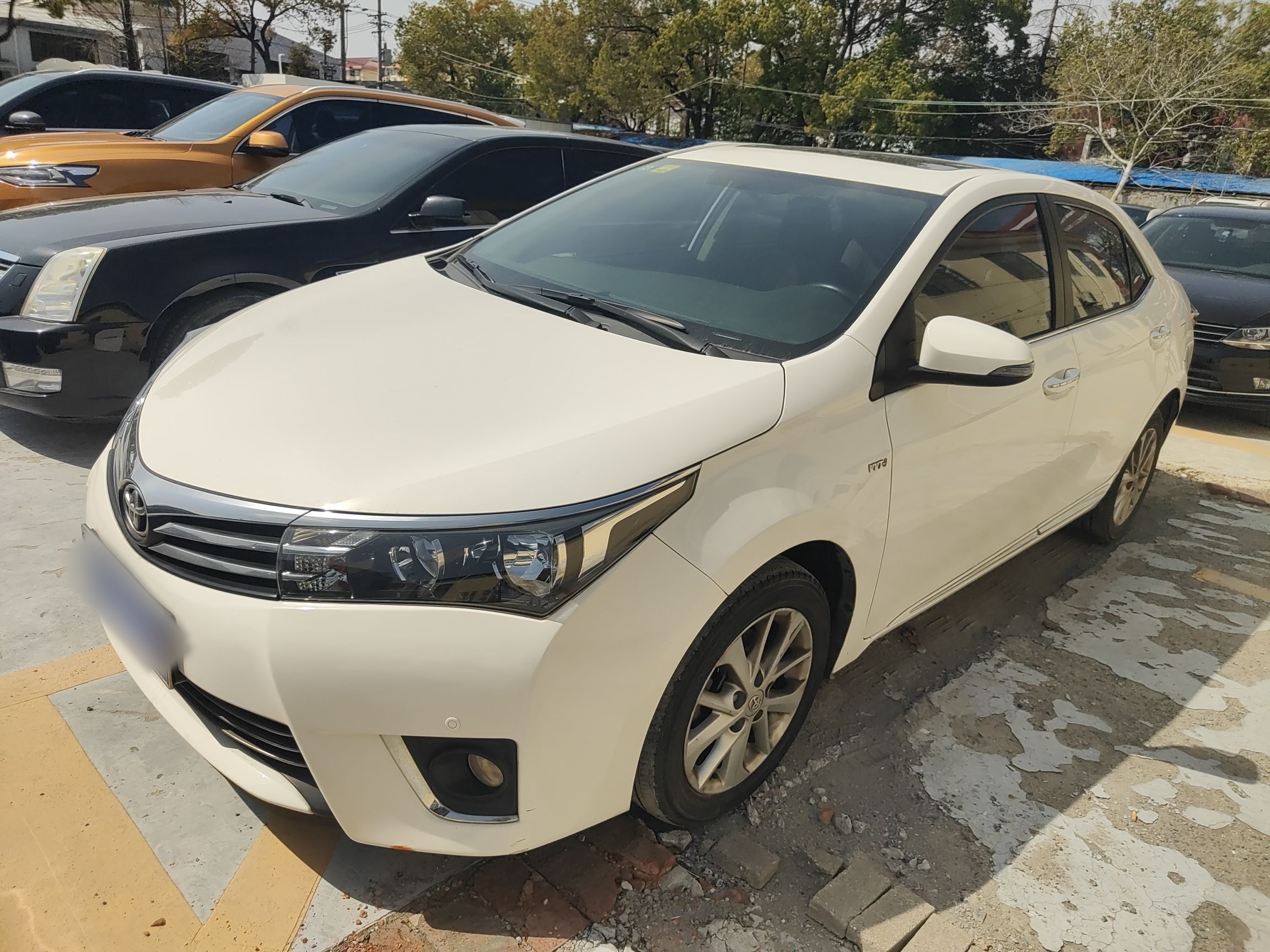 تحت مقدمة السيارة