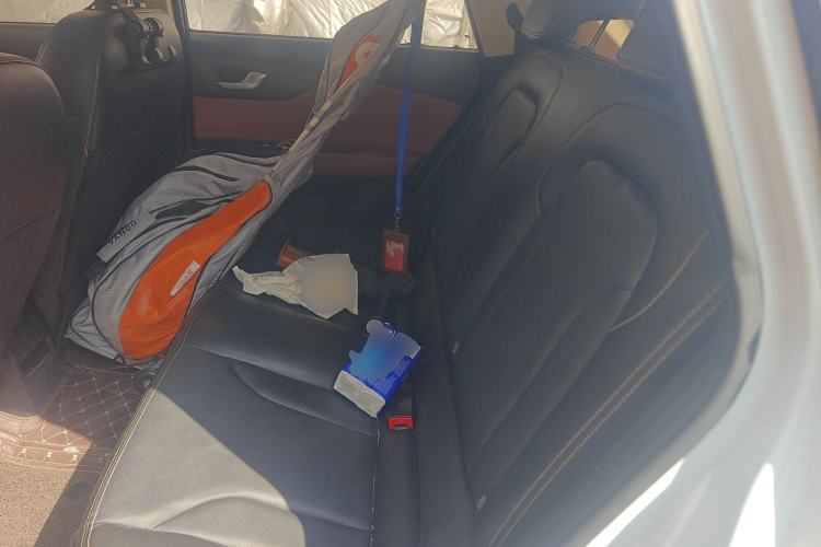 Used Electric House YOUNG Light XiaoXin 2021 L400 4-seater