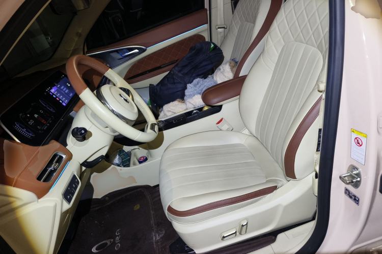 Used ORA Good Cat 2021 400km Standard Range Athena Edition Lithium Iron Phosphate