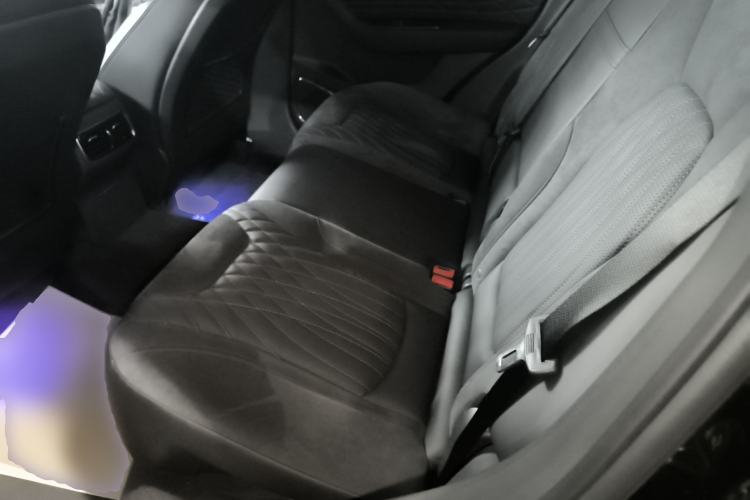 Used Hongqi HS5 2022 Facelifted Version 2.0T Smart Connect Flagship All-Wheel-Drive Edition Left Rear Seat