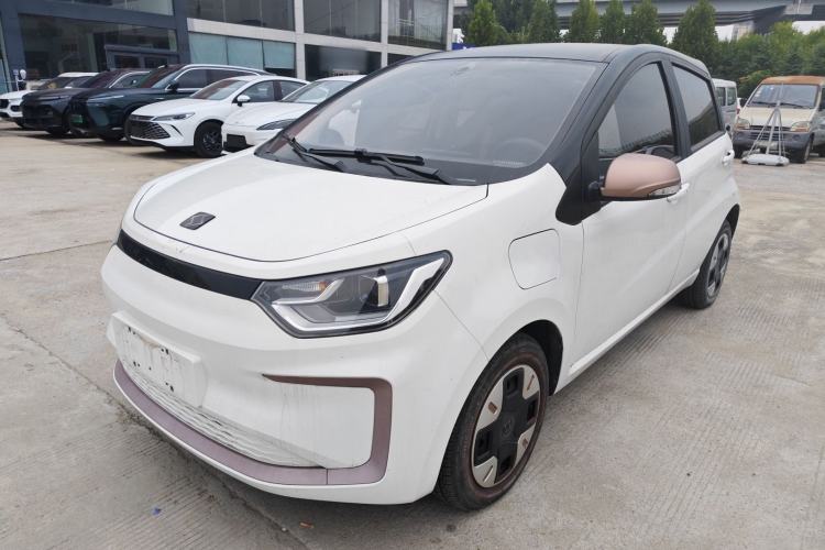 Used SOL E10X 2022 Flower Fairy Design Dandelion