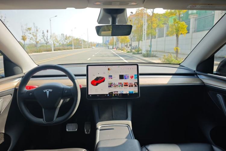 Used Tesla Model Y 2021 Standard Range Rear-Wheel Drive Version Center Console