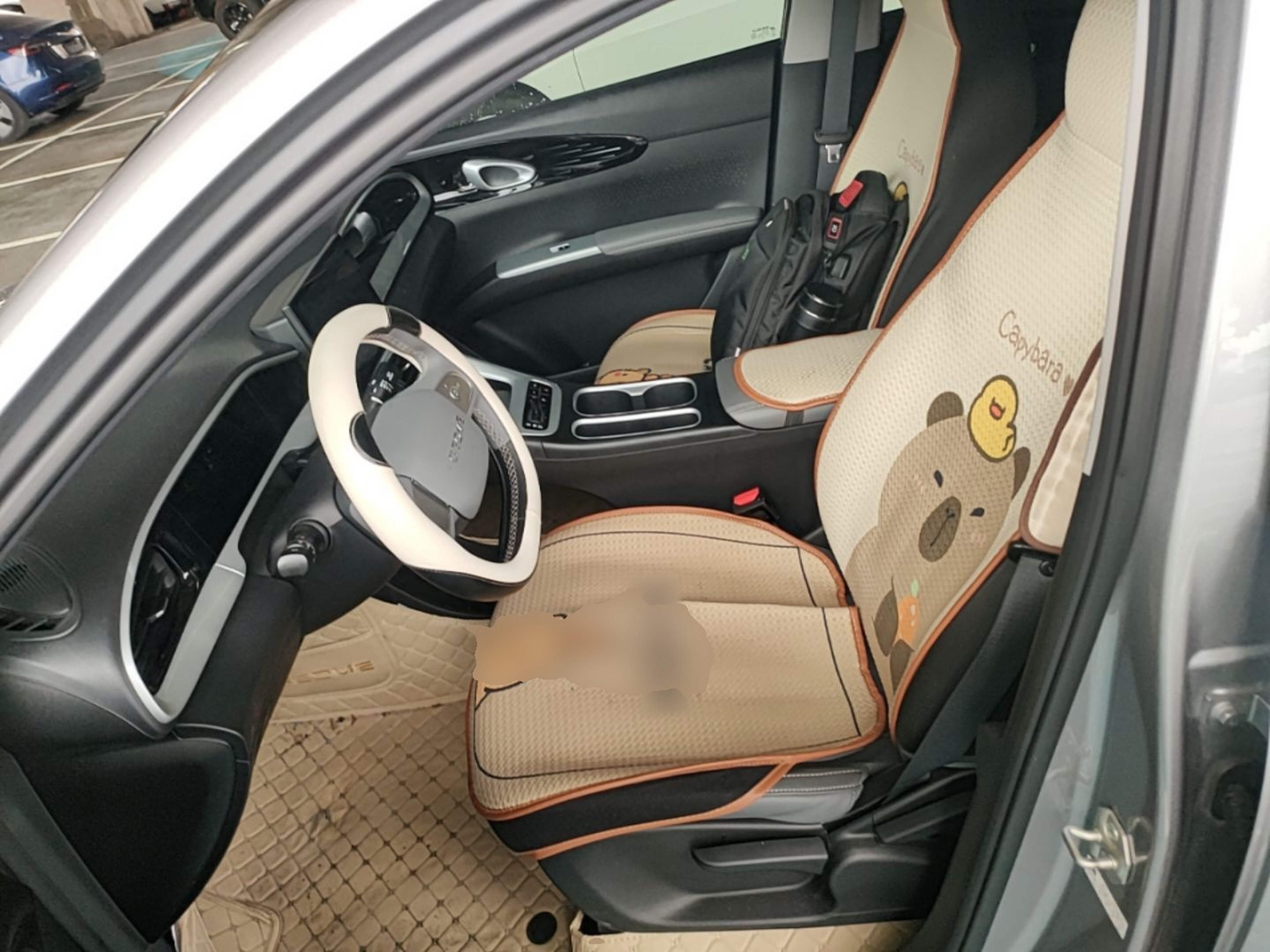 Interior delantero