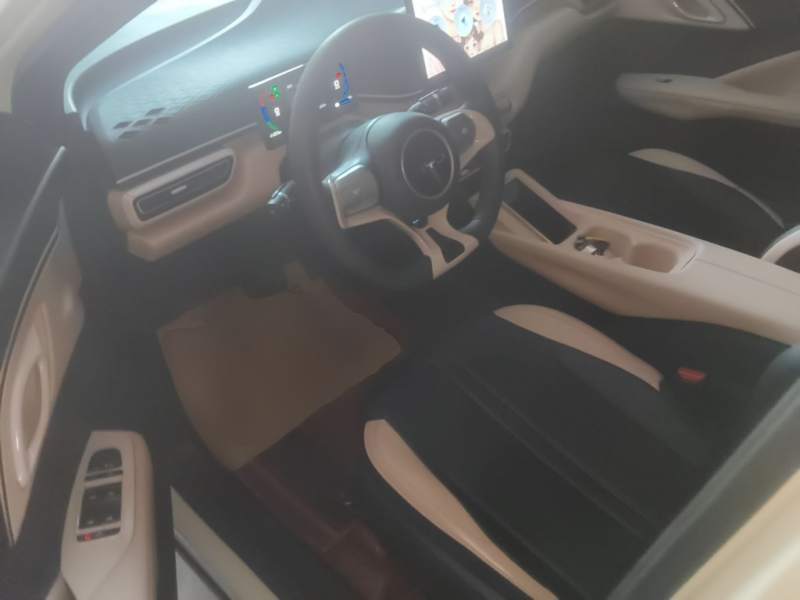Used BYD Seagull 2025 305km Active Version — 14