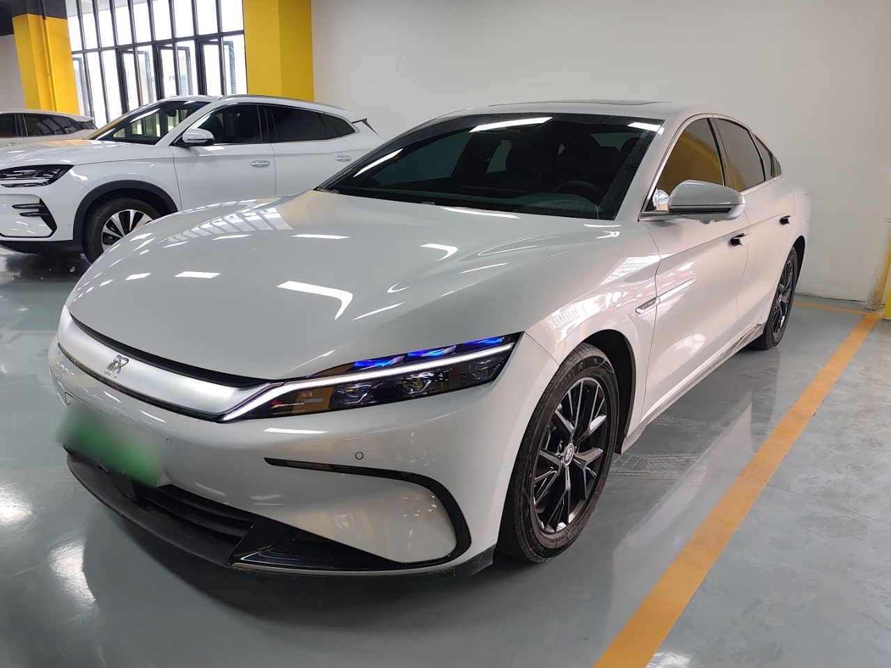 Parte inferior delantera