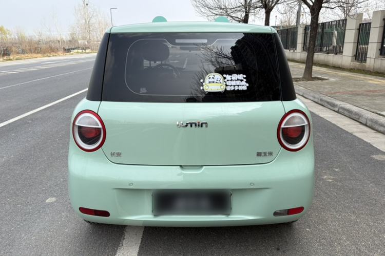 Used Qiyuan Lumin 2022 210km Sweet Edition
