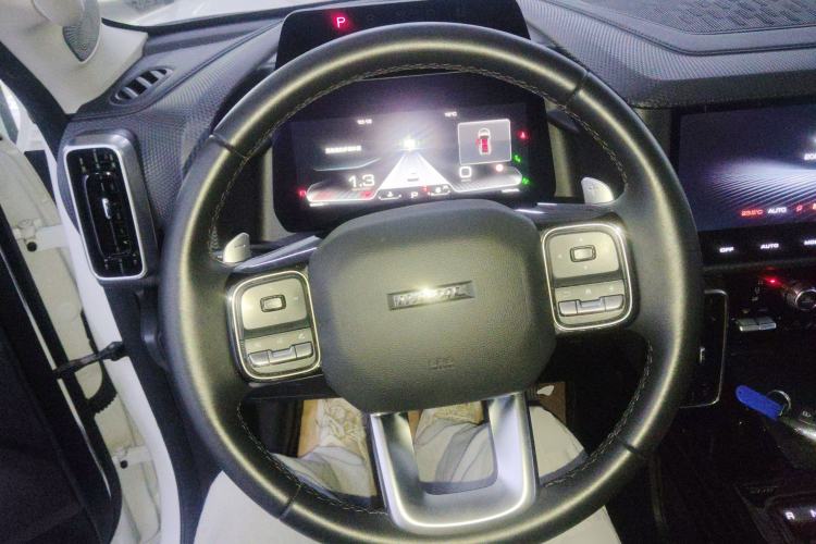 Used Haval DARGO 2021 Revised Version 2.0T DCT Four-Wheel Drive "Hao Tian Que" Edition