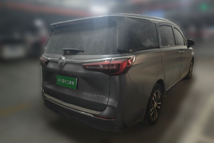 Used Buick GL8 2022 ES Landtrek 653T Luxury Edition Rear Right 45 Deg