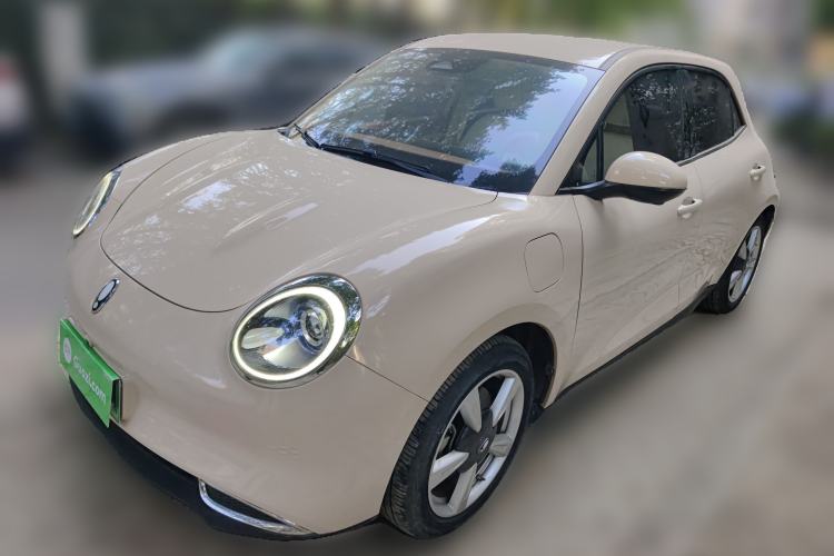 Used ORA Good Cat 2022 400km Standard Range Luxury Version Lithium Iron Phosphate