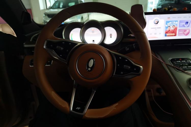 Used ORA Lightning Cat 2022 555 km Luxury Edition
