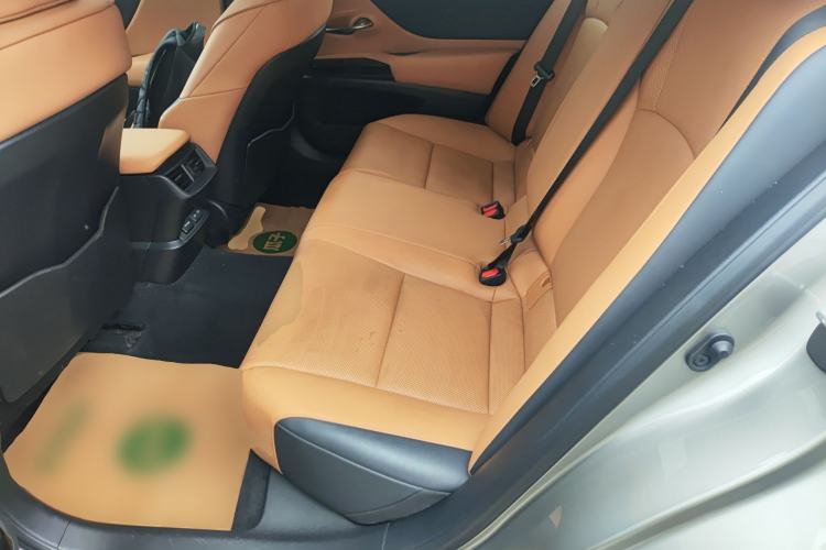 Used Lexus ES 2021 260 Excellence Edition Left Rear Seat