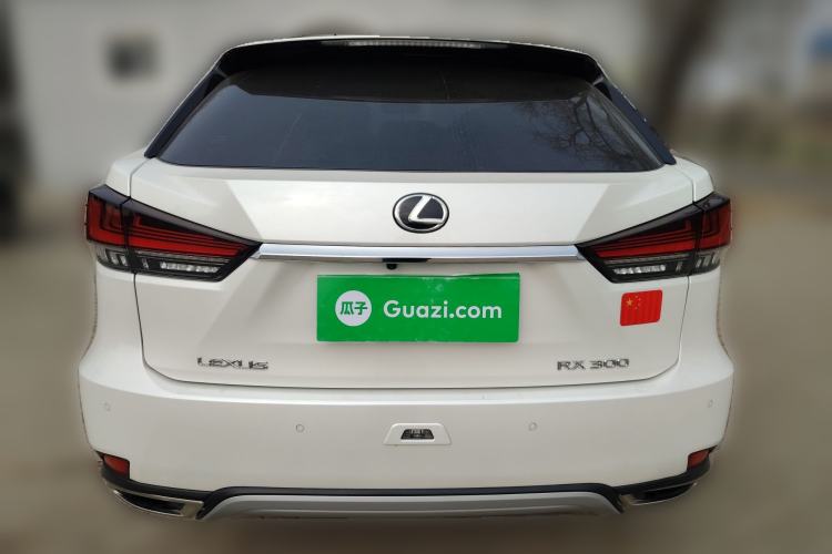 Used Lexus RX 2020 300 4x4 Elegant Edition China VI