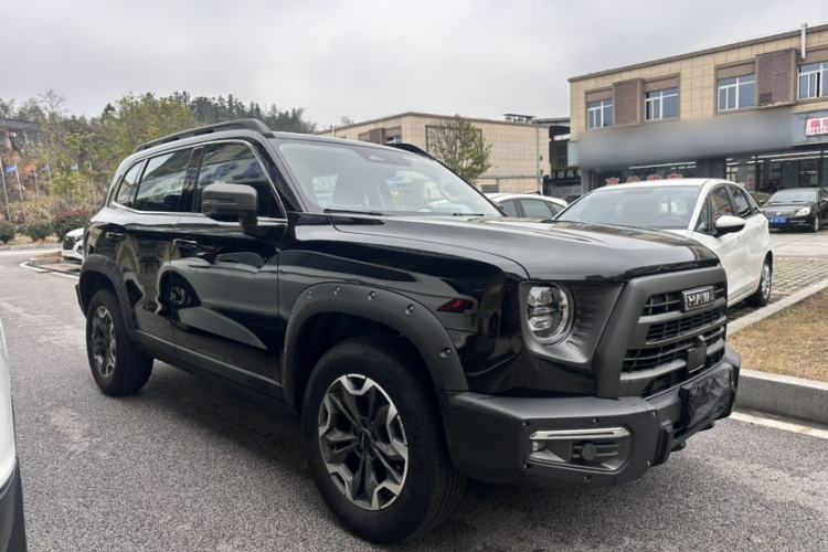 Used Haval DARGO 2024 2.0T DCT Chinese Rural Dog Edition