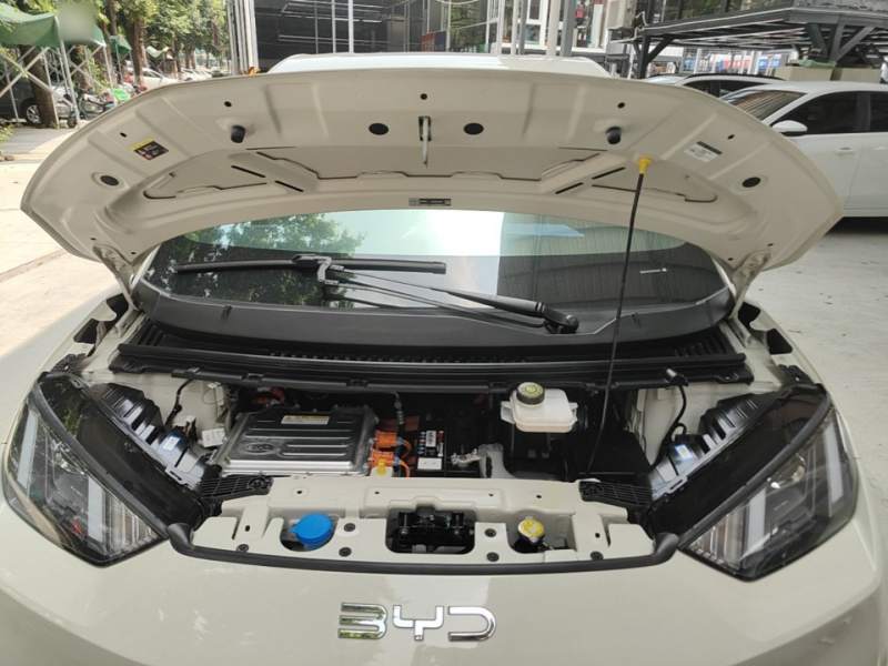 Used BYD Seagull 2024 Honor Edition 305km Dynamic Version — 19