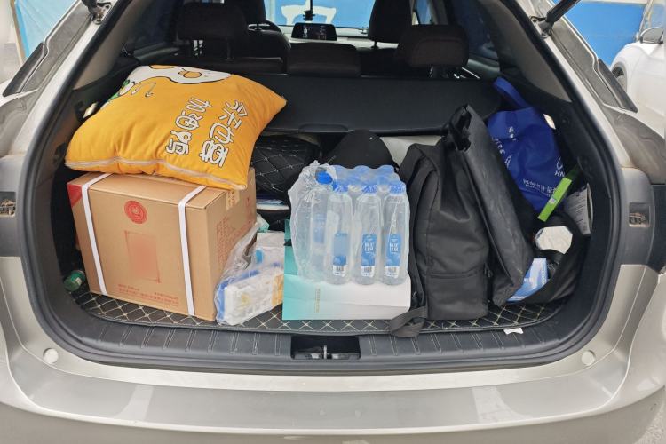 Used Lexus RX 2020 300 4x4 Elegant Edition China VI
