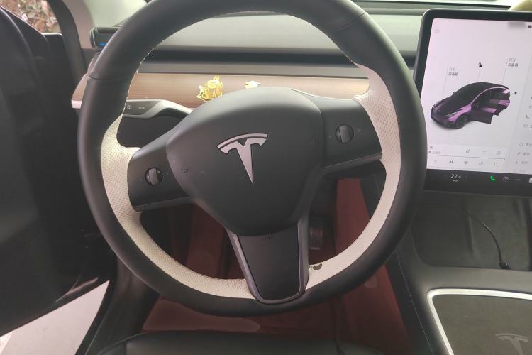 Used Tesla Model Y 2021 Standard Range Rear-Wheel Drive Version