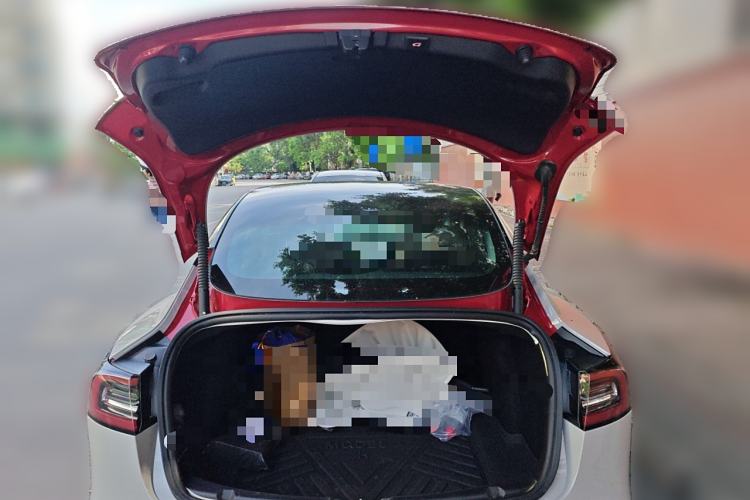 Used Tesla Model 3 2019 Standard Range Rear-Drive Upgraded Version