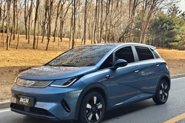 Used BYD Dolphin 2025 Intelligent Driving Version 410 km Fashion Edition