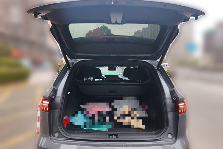 Used Geely Auto Monjaro L 2024 2.0TD High-Power Automatic Two-Wheel Drive Skyline Edition
