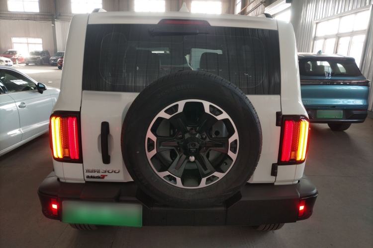 Used Tank 300 New Energy 2025 Hi4-T