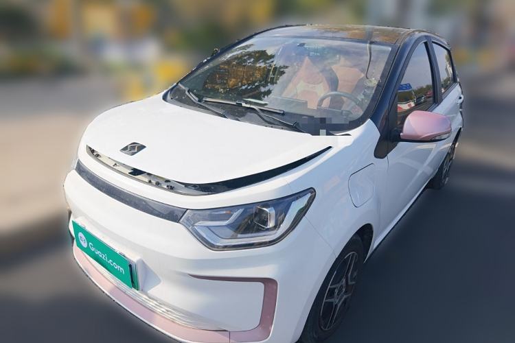 Used SOL E10X 2022 Flower Fairy Design Four-Leaf Clover