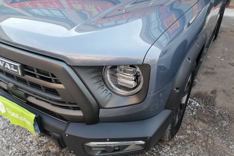 Used Haval DARGO 2024 2.0T DCT Chinese Rural Dog Edition