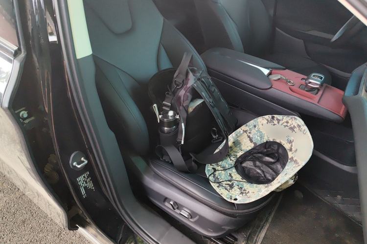 Used Hongqi E-QM5 2023 Revised Version Basic Travel Edition Right Front Seat