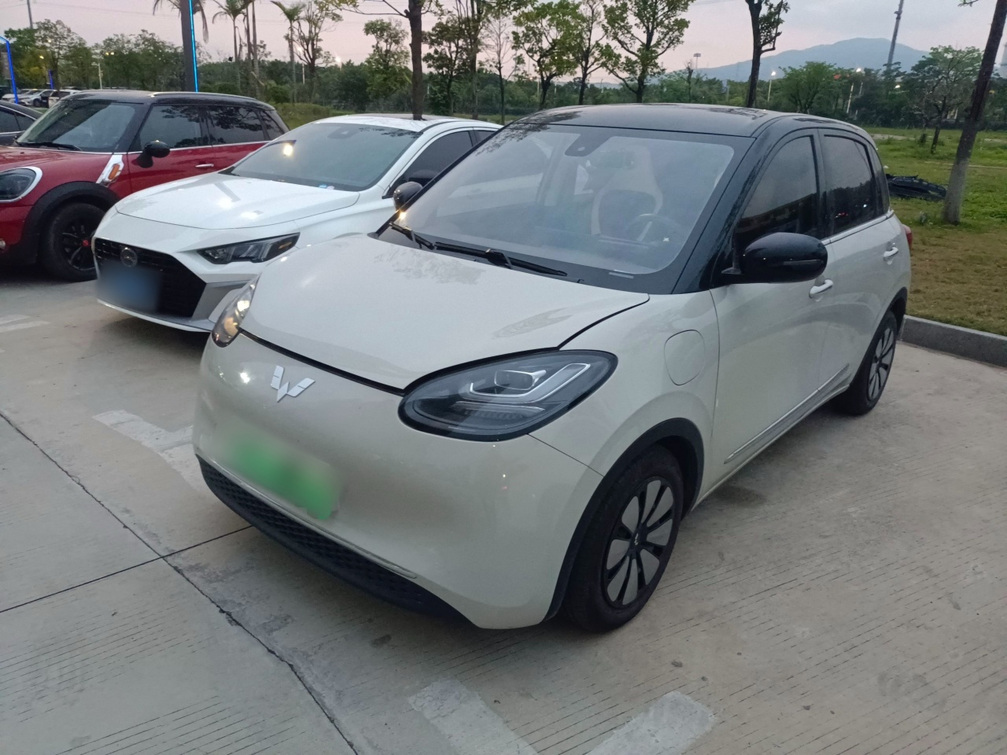 Parte inferior delantera