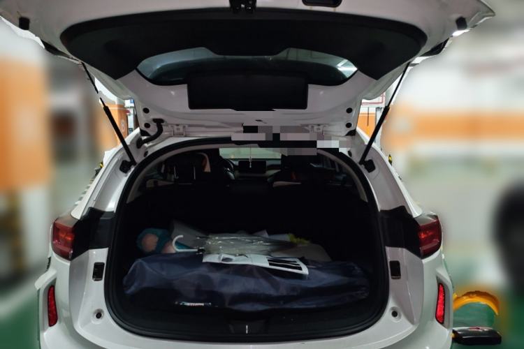 Used Haval LHERY 2021 High-Performance Version 1.5T Golden Rabbit