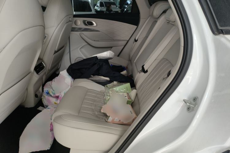 Used NETA L 2024 Extended-Range 310 Flash Charge PRO Edition Left Rear Seat