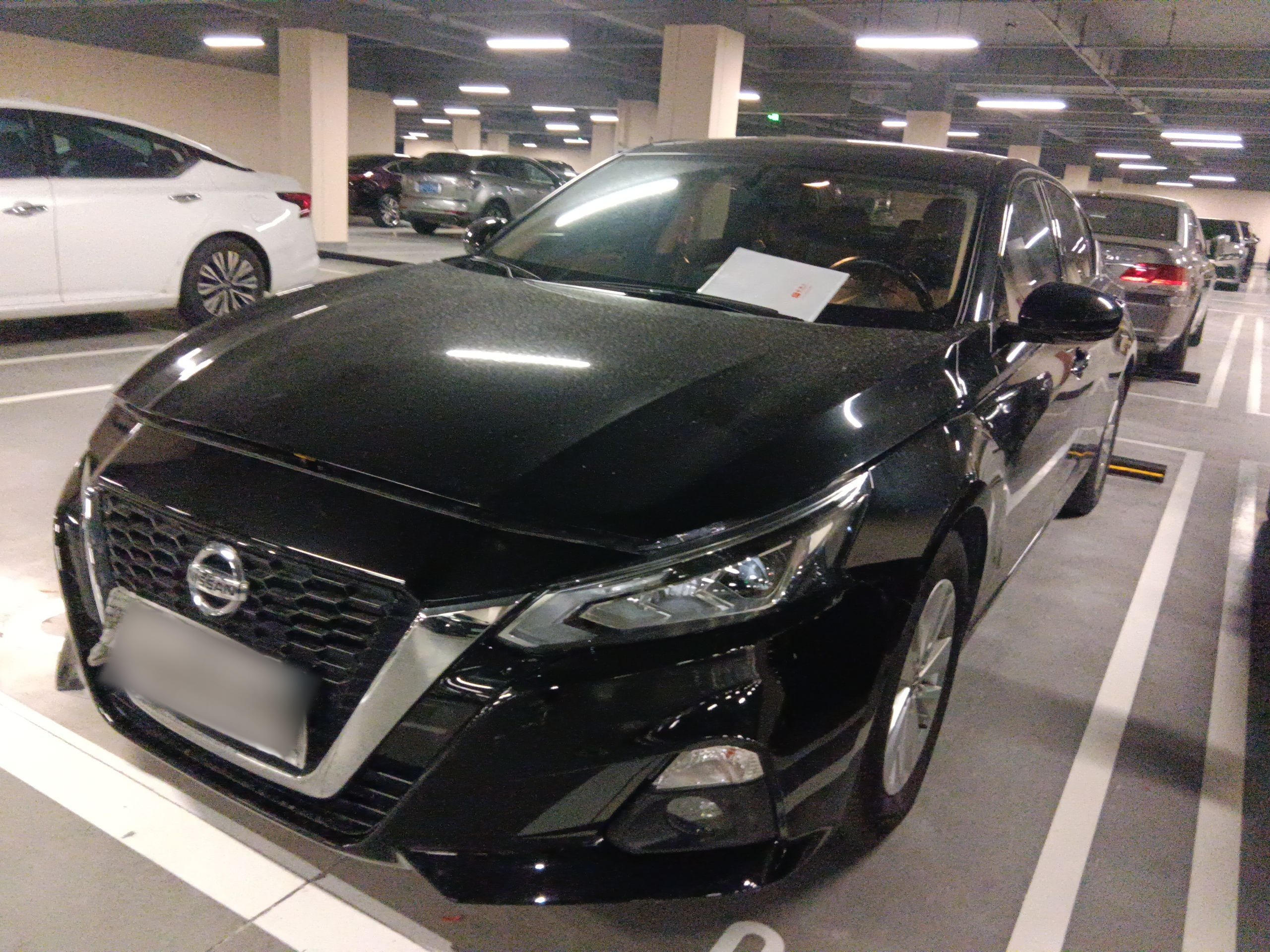 تحت مقدمة السيارة